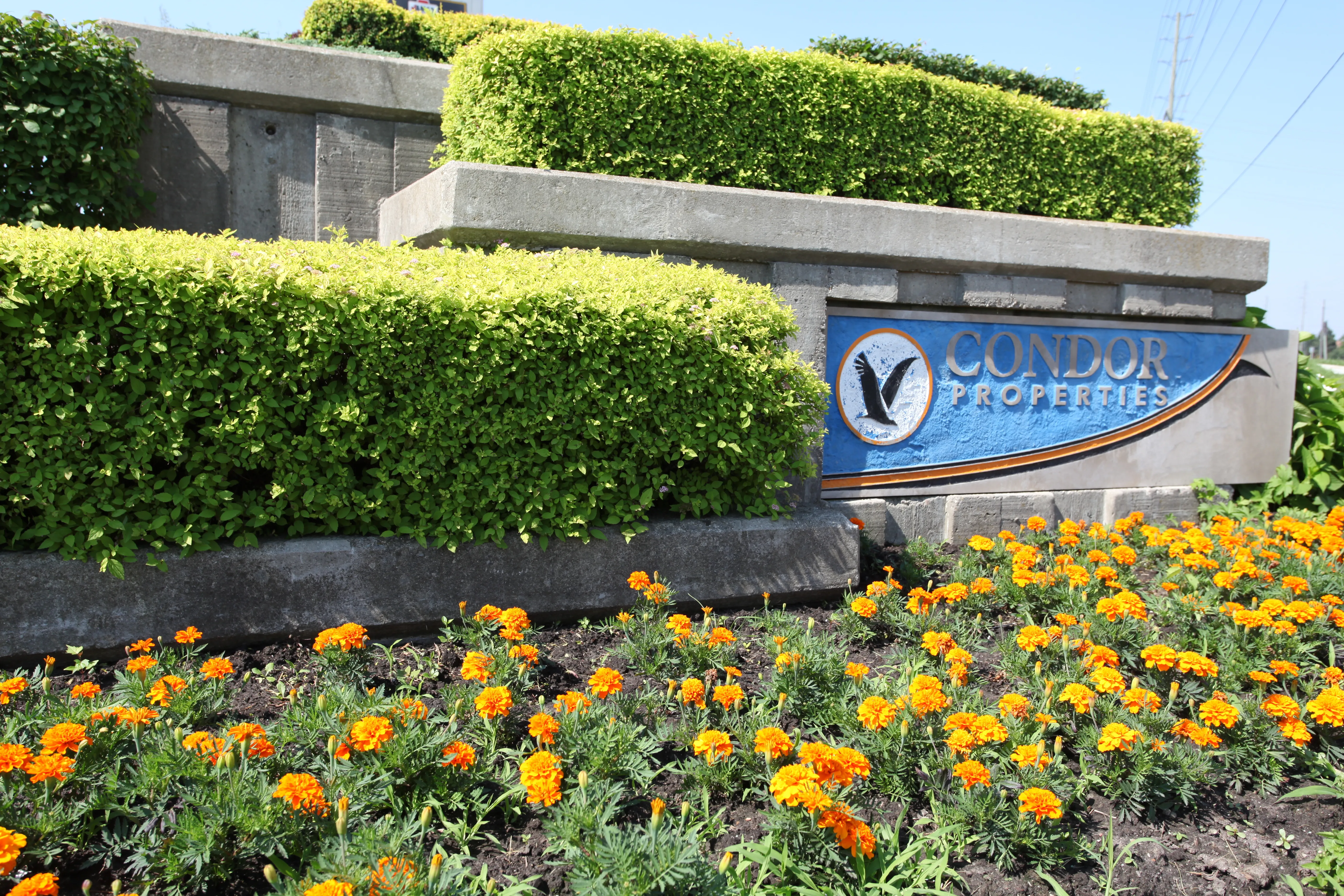 Condor Building Flowers